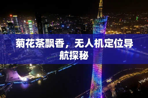 菊花茶飘香，无人机定位导航探秘