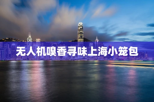 无人机嗅香寻味上海小笼包