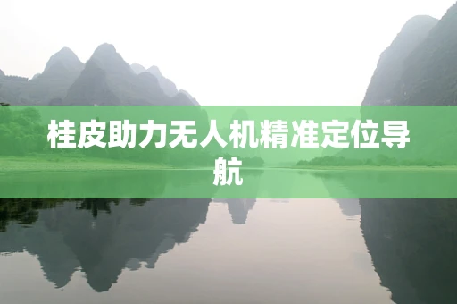 桂皮助力无人机精准定位导航