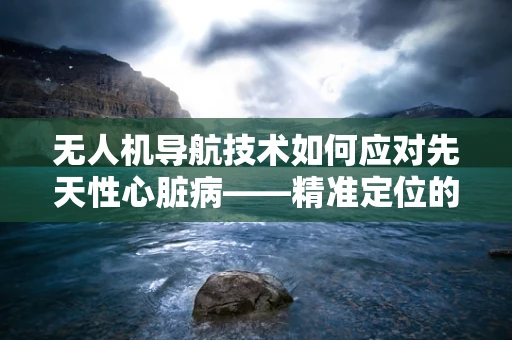 无人机导航技术如何应对先天性心脏病——精准定位的挑战？
