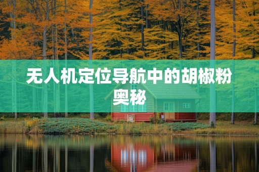 无人机定位导航中的胡椒粉奥秘