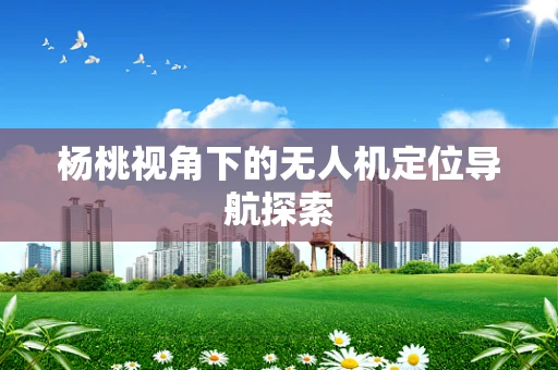 杨桃视角下的无人机定位导航探索