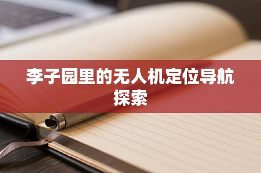 李子园里的无人机定位导航探索