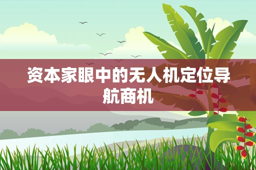 资本家眼中的无人机定位导航商机