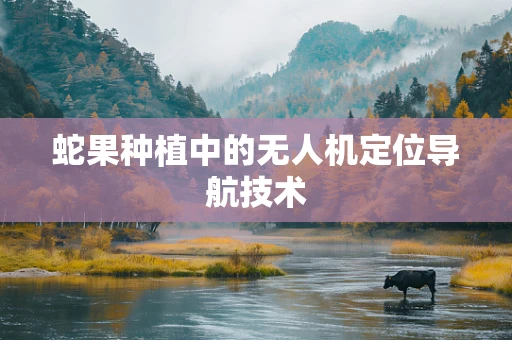 蛇果种植中的无人机定位导航技术