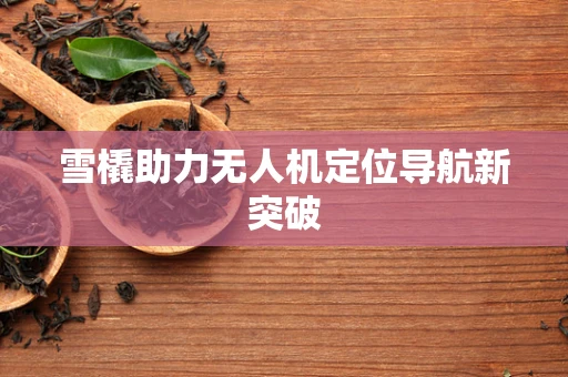 雪橇助力无人机定位导航新突破