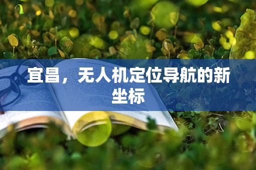宜昌，无人机定位导航的新坐标