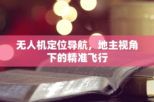 无人机定位导航，地主视角下的精准飞行