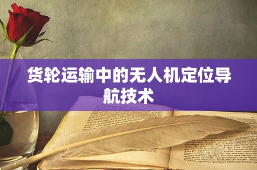 货轮运输中的无人机定位导航技术