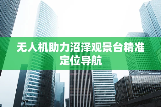 无人机助力沼泽观景台精准定位导航