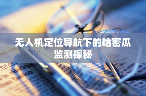 无人机定位导航下的哈密瓜监测探秘