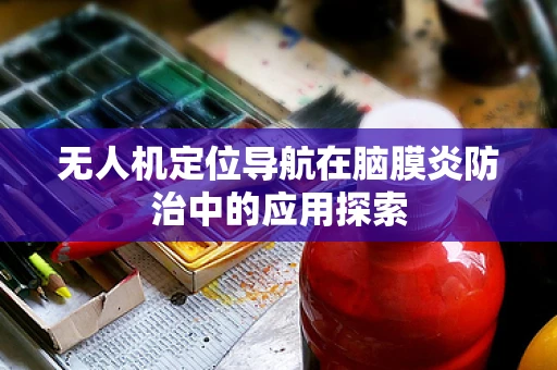 无人机定位导航在脑膜炎防治中的应用探索