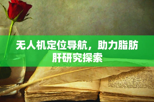 无人机定位导航，助力脂肪肝研究探索