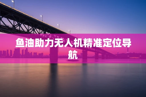 鱼油助力无人机精准定位导航