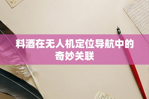 料酒在无人机定位导航中的奇妙关联