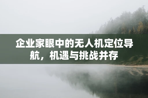 企业家眼中的无人机定位导航，机遇与挑战并存