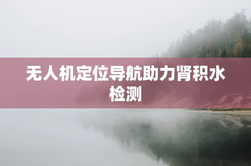 无人机定位导航助力肾积水检测