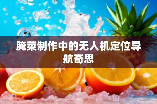 腌菜制作中的无人机定位导航奇思