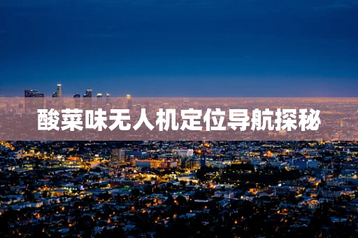 酸菜味无人机定位导航探秘