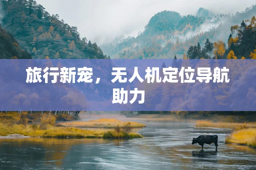 旅行新宠，无人机定位导航助力