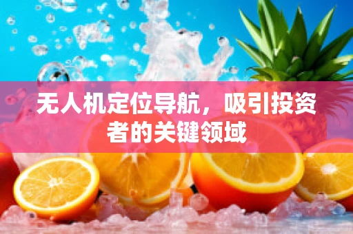 无人机定位导航，吸引投资者的关键领域