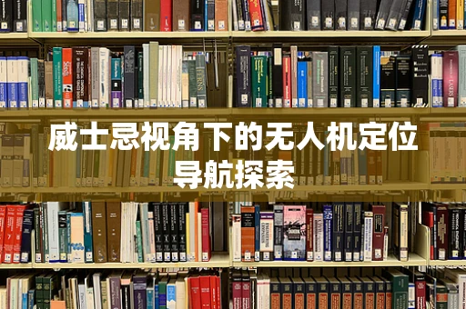 威士忌视角下的无人机定位导航探索