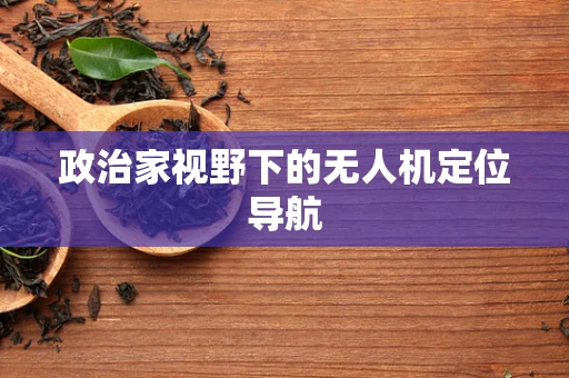 政治家视野下的无人机定位导航
