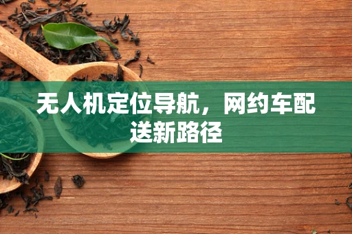 无人机定位导航，网约车配送新路径