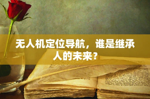 无人机定位导航，谁是继承人的未来？