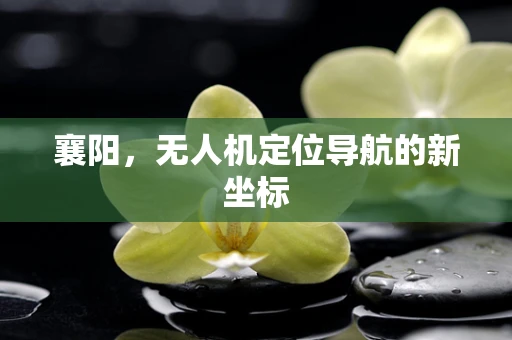 襄阳，无人机定位导航的新坐标