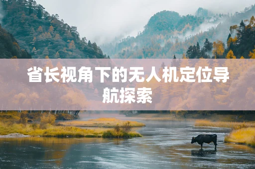 省长视角下的无人机定位导航探索