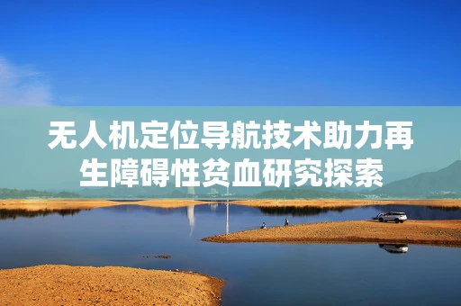 无人机定位导航技术助力再生障碍性贫血研究探索