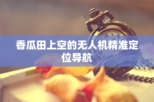 香瓜田上空的无人机精准定位导航
