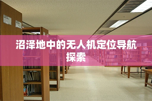 沼泽地中的无人机定位导航探索