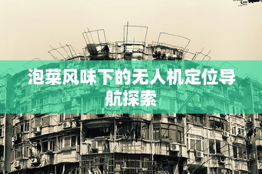 泡菜风味下的无人机定位导航探索