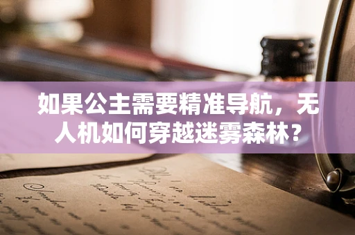 如果公主需要精准导航，无人机如何穿越迷雾森林？
