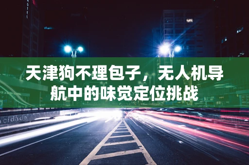 天津狗不理包子，无人机导航中的味觉定位挑战