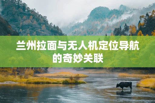 兰州拉面与无人机定位导航的奇妙关联