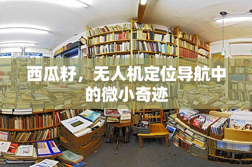 西瓜籽，无人机定位导航中的微小奇迹