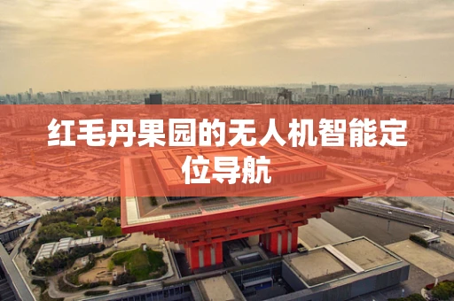 红毛丹果园的无人机智能定位导航