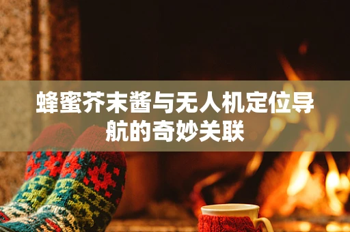 蜂蜜芥末酱与无人机定位导航的奇妙关联