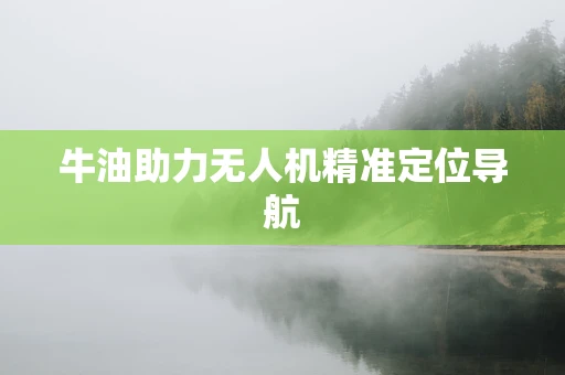 牛油助力无人机精准定位导航