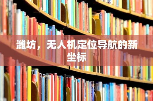 潍坊，无人机定位导航的新坐标