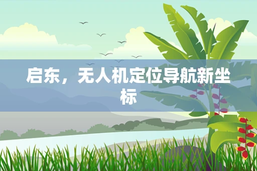 启东，无人机定位导航新坐标