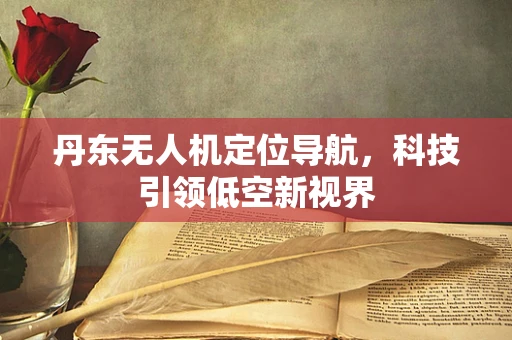 丹东无人机定位导航，科技引领低空新视界