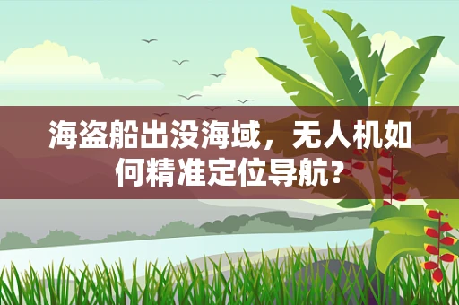海盗船出没海域，无人机如何精准定位导航？