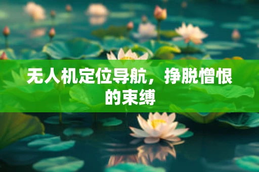无人机定位导航，挣脱憎恨的束缚