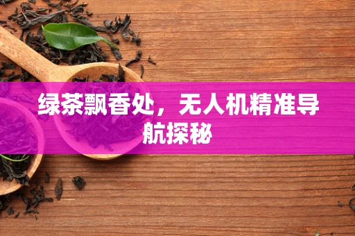 绿茶飘香处，无人机精准导航探秘