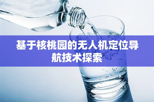 基于核桃园的无人机定位导航技术探索