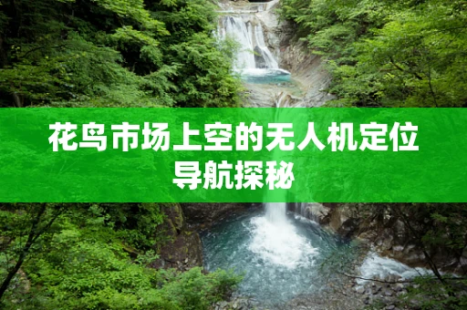 花鸟市场上空的无人机定位导航探秘